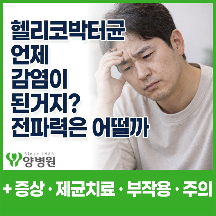 헬리코박터균 감염경로, 감염증상과 원인이 뭔지, 제균치료 치료방법을 알려드려요
