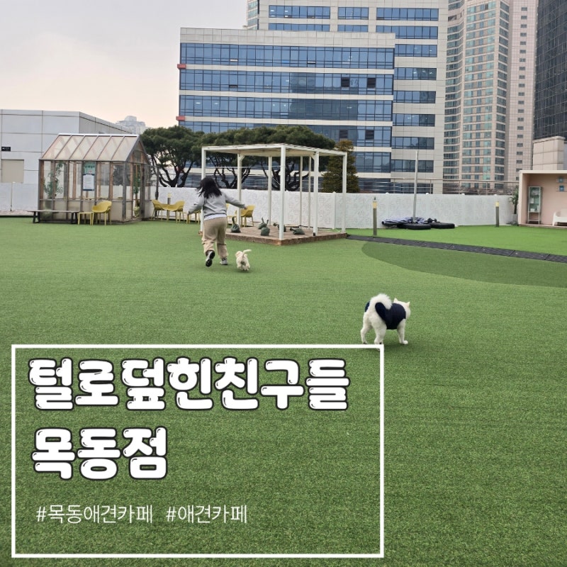 사진 4
