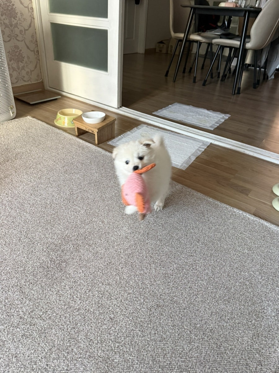 강동농원 사진 3