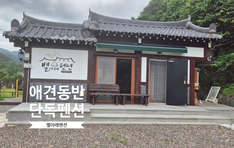 사진 4