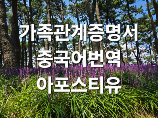  가족관계증명서 중국어번역 아포스티유