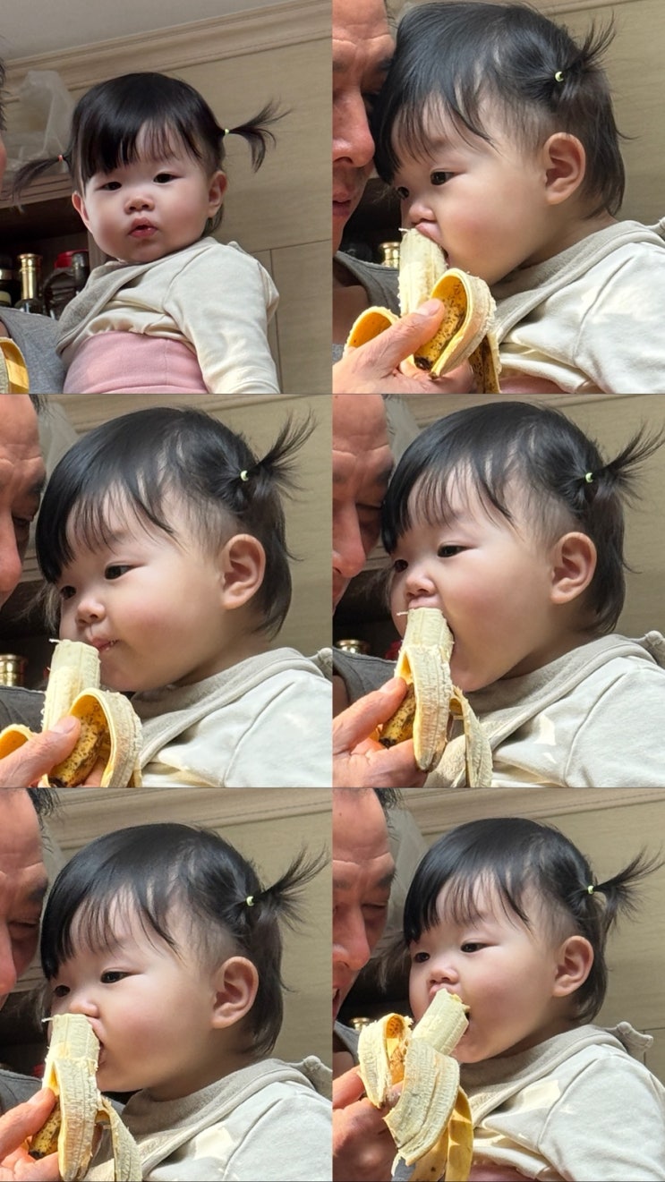  14개월 아기 발달 및 성장기록 (+432일~437일)