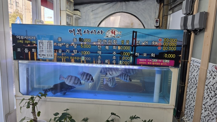 어부사시사 사진 3
