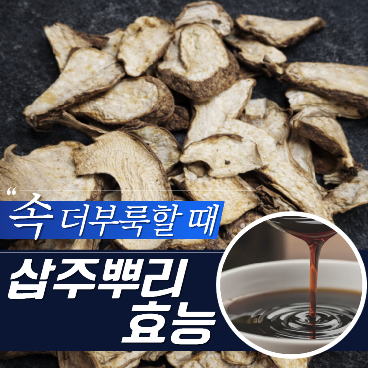  삽주뿌리 효능 부작용 백출 창출
