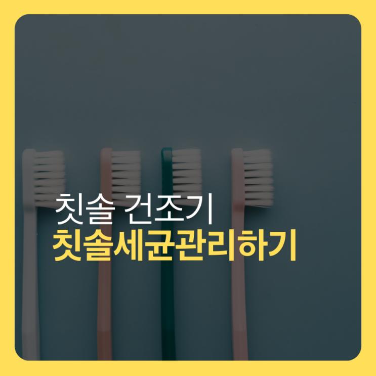  칫솔건조기 사용법, 칫솔 세균 관리에 도움이 되는 이유