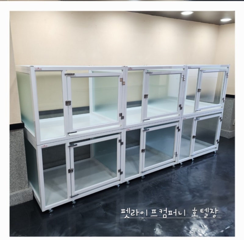 사진 4