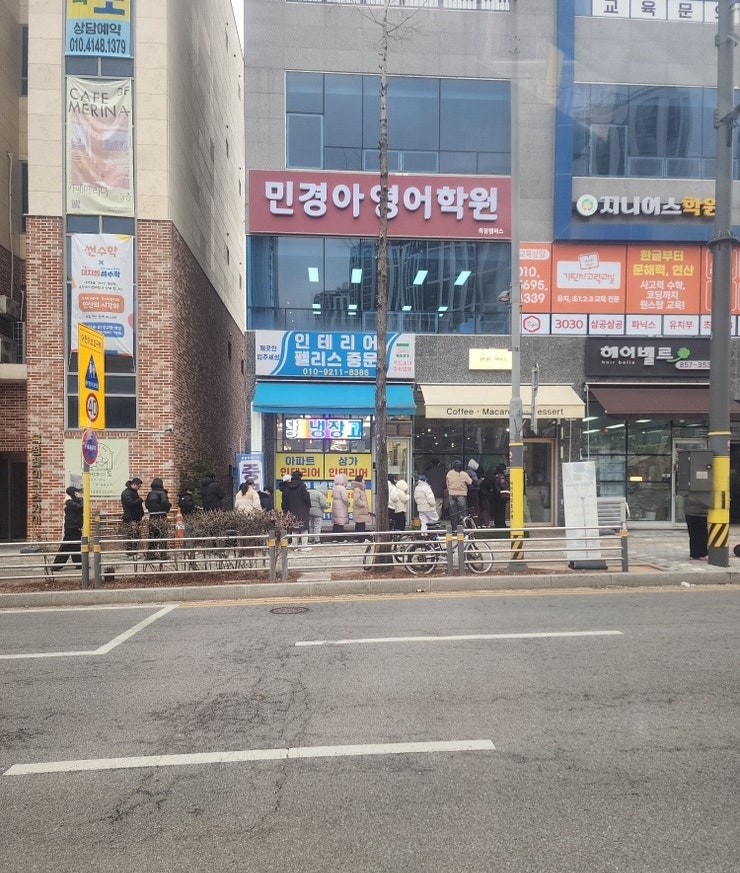 브로시스 사진 2