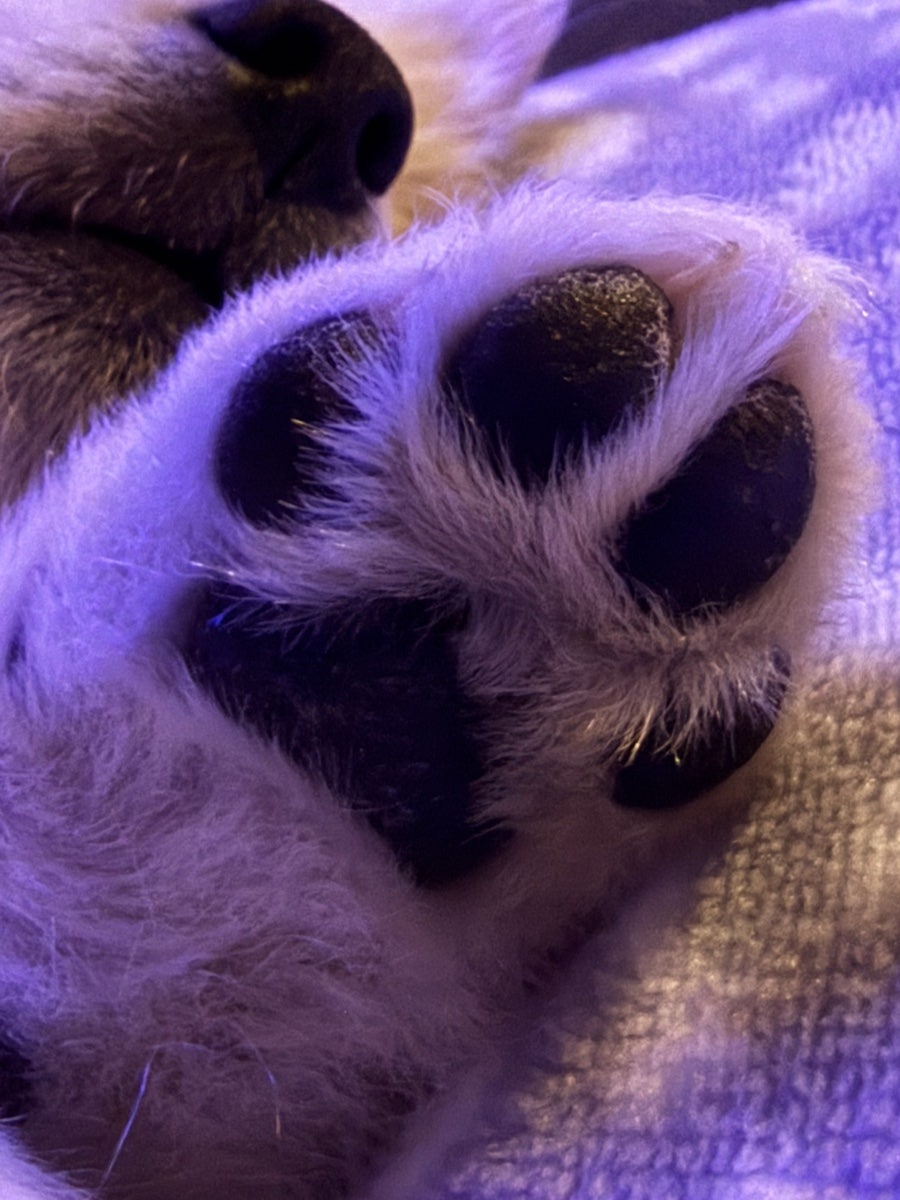 강동농원 사진 4