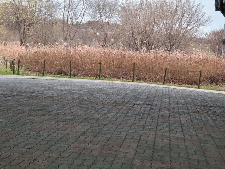  중고 거래 안전하게 하는 법 (피해 없는 똑똑한 거래 가이드)