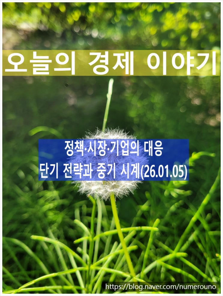  정책·시장·기업의 대응, 단기 전략과 중기 시계(26.01.05)