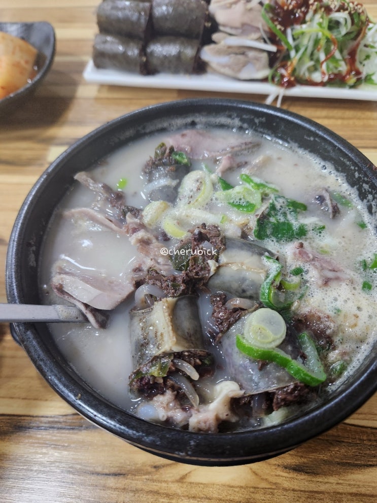  천안 순대국 맛집 내돈내산 아우내본가순대