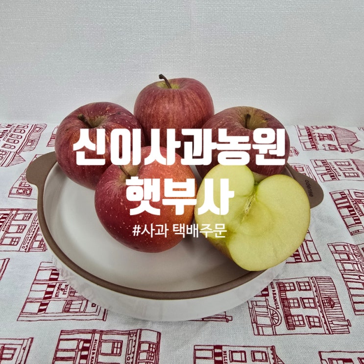  [사과 택배주문] 청송꿀사과 『 신이사과농원 』 햇부사 주문후기