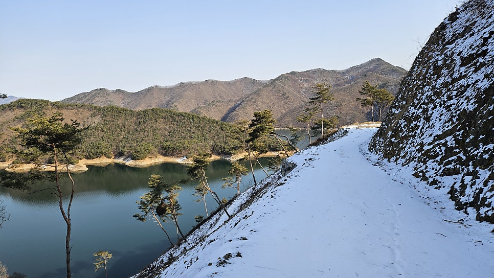 충주호서운리순환임도 사진 3