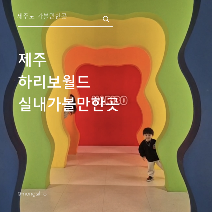 하리보해피월드 다녀왔는데.. 생각보다 어른이 더 신난 제주도 해피월드 후기
