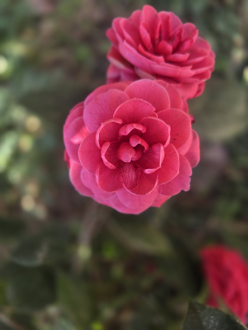 갯당산 사진 5