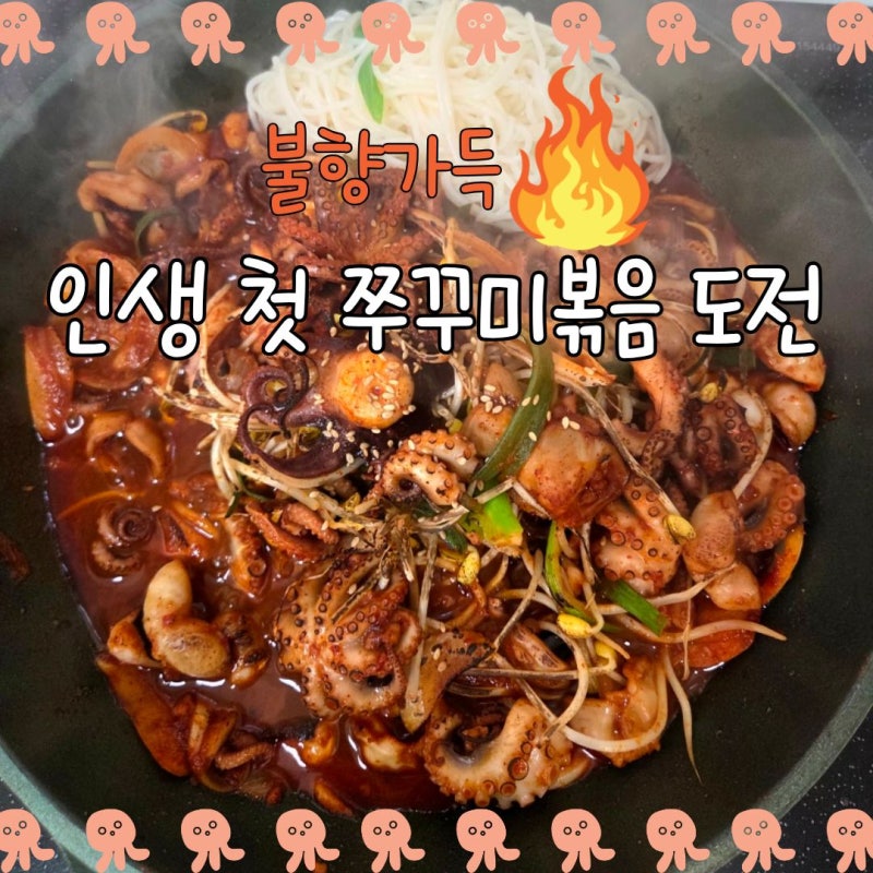 생애 첫 쭈꾸미 손질 도전! & 실패 없는 콩나물 쭈꾸미 볶음 레시피