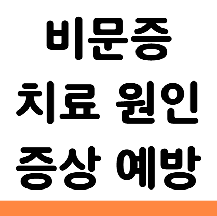  비문증 치료 원인 증상 예방법