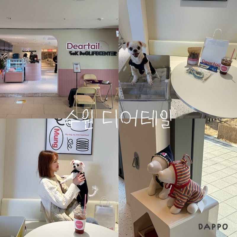 디어테일