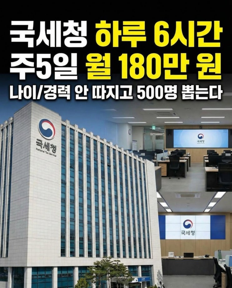  국세청 종합소득세 신고안내 도우미 구인(워라벨 알바)