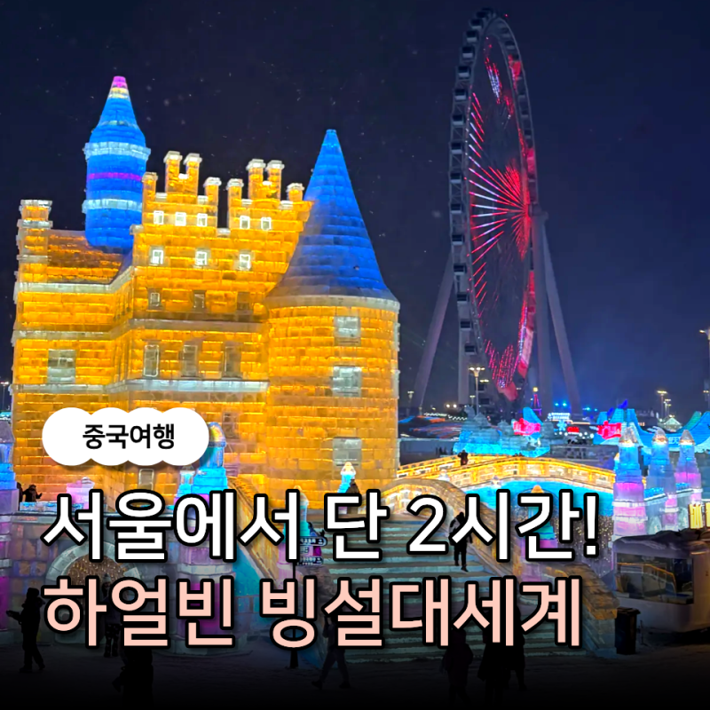 중국 하얼빈 빙설대세계 冰雪大世界 입장권 예매 식당 교통 즐길거리 총 정리