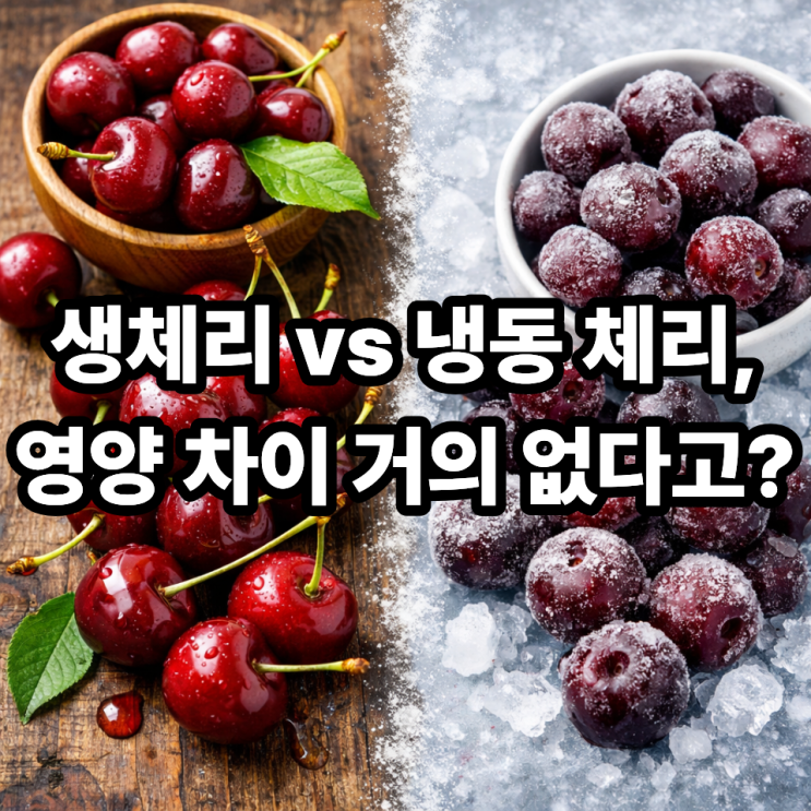  체리 생과 vs 냉동 체리 영양 차이 분석｜어떤 선택이 더 좋을까?