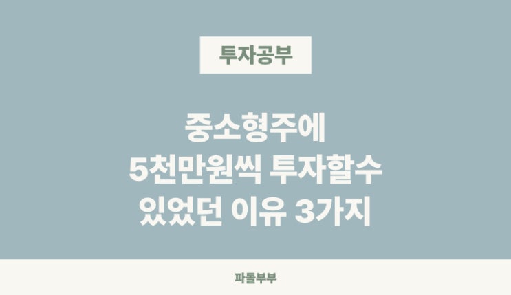  아이렌 팔란티어 중소형주 1천만원 이상 투자할수 있었던 이유 3가지