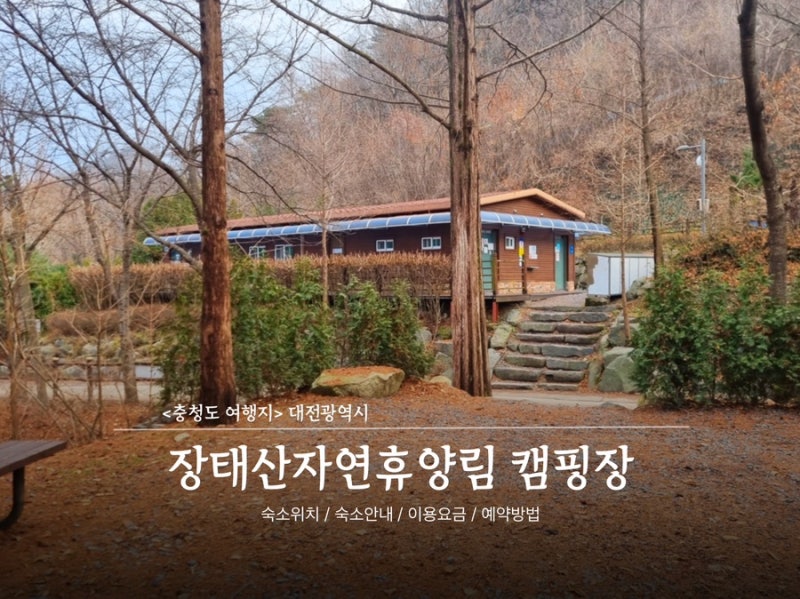 [대전광역시]장태산자연휴양림 캠핑장 A구역 1번사이트 대전가볼만한곳 뚜벅이 백패킹후기