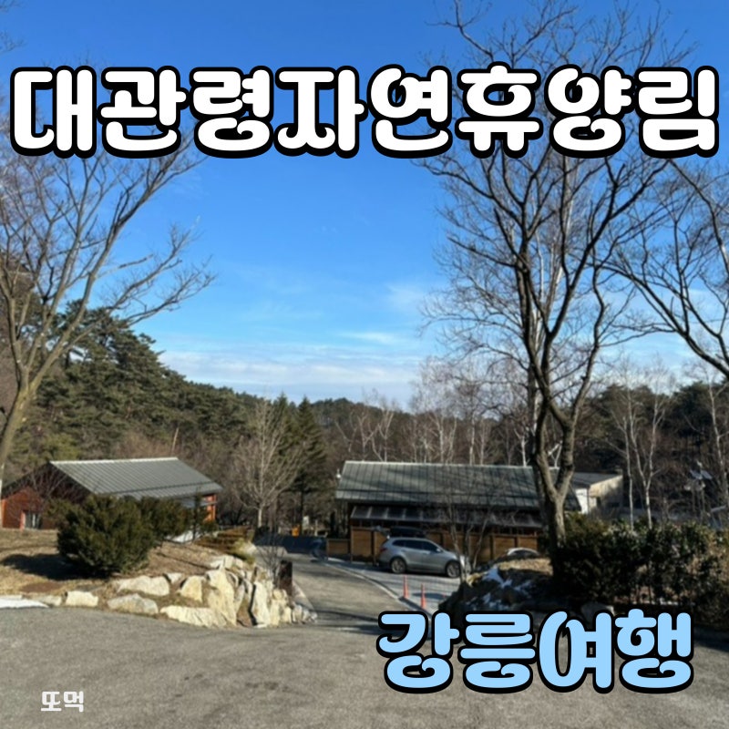 강원도 강릉 대관령 자연휴양림 숙박 후기, 눈없이 별과 달만 보고왔다