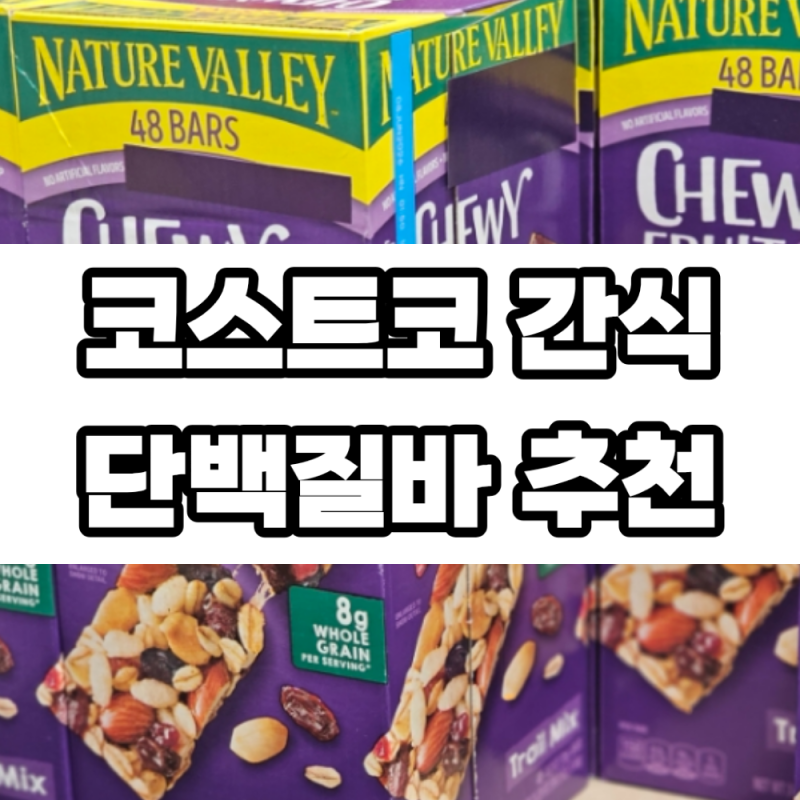 코스트코 간식 추천 입터짐 방지템 단백질바 네이처밸리 트레일 믹스바