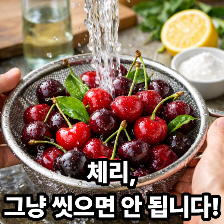  체리 씻는 법 총정리｜농약 걱정 줄이는 가장 쉬운 방법