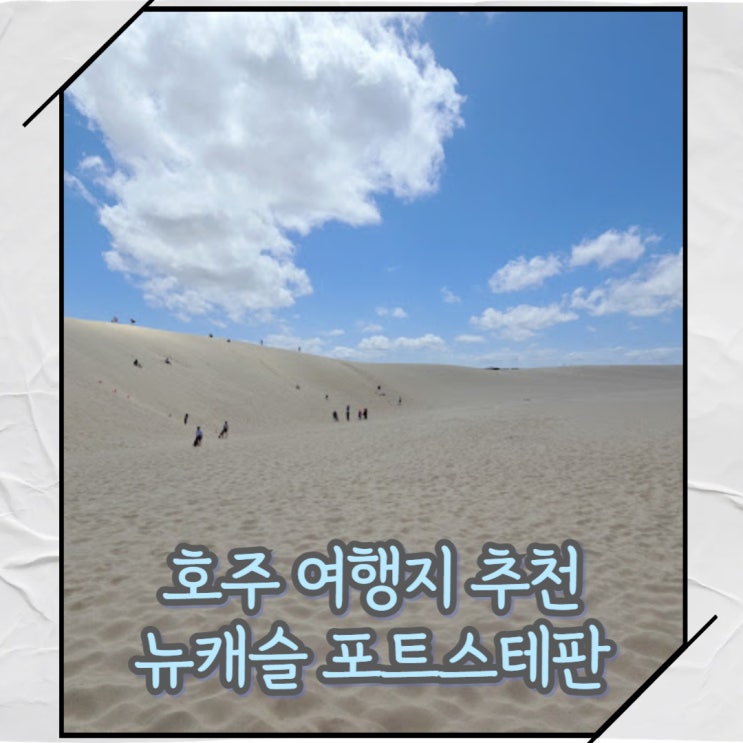  호주 시드니 추천 여행지 뉴캐슬 포트스테판 돌고래 샌딩보드 투어 버우비 비치