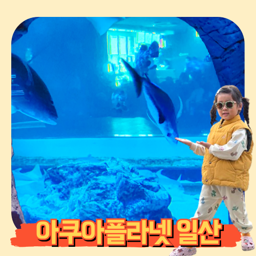 아쿠아플라넷 일산 주차 할인 푸드코트 수유실