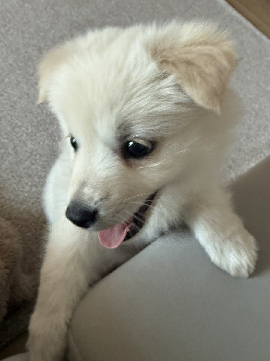 강동농원 사진 1
