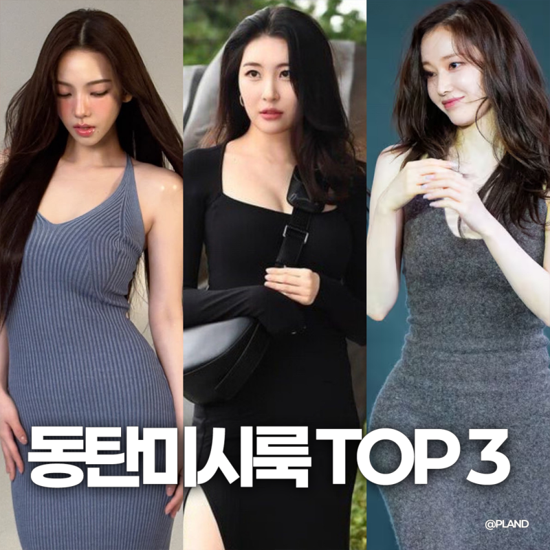 연예계 동탄 미시룩 레전드 TOP 3