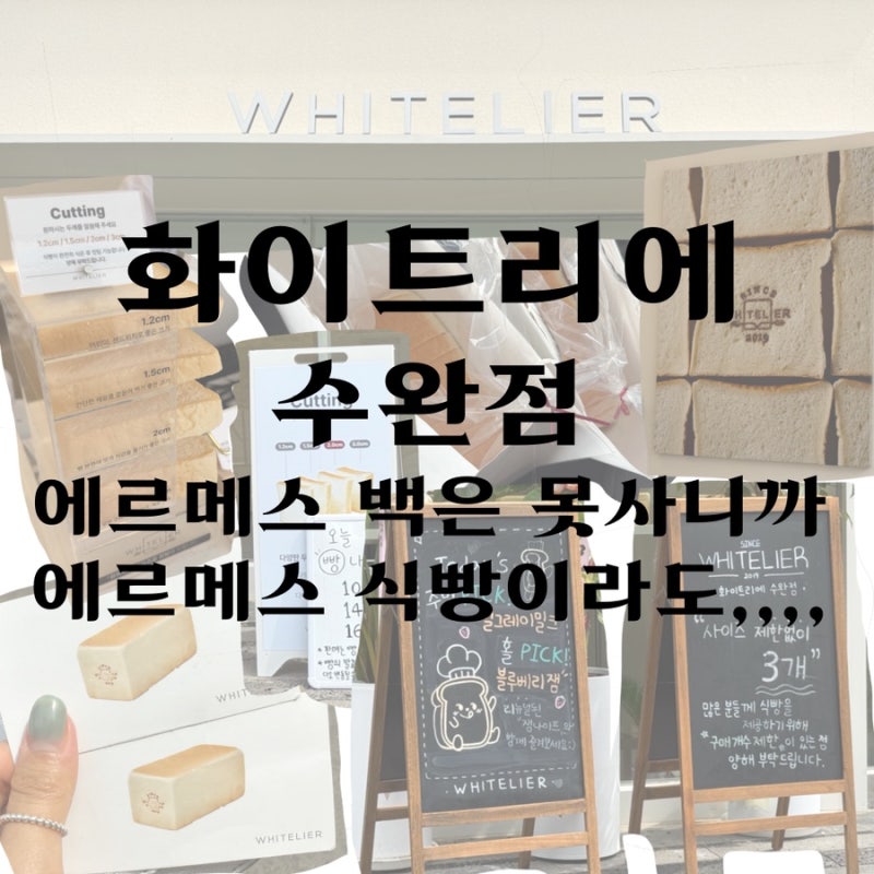 [광주 수완지구 빵집] 화이트리에 수완점 / 수완지구 빵집 추천