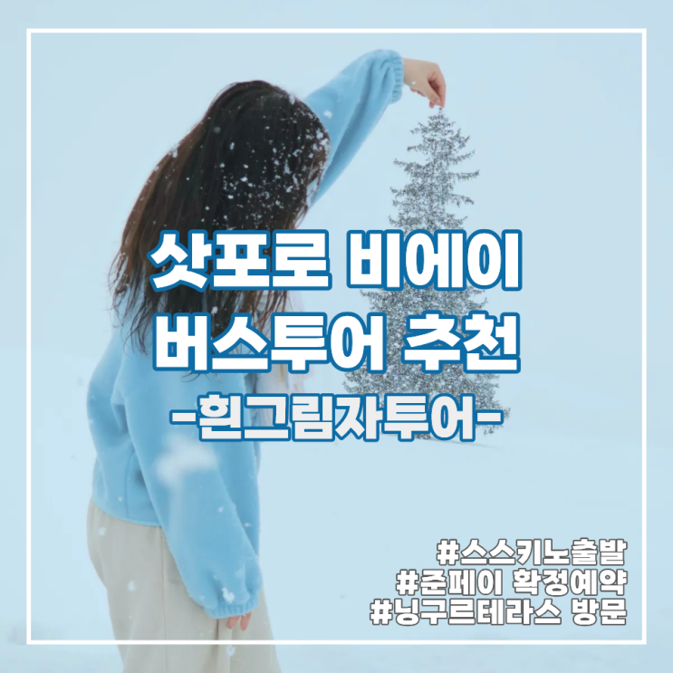 ️ 삿포로 비에이 투어 추천 흰그림자투어 내돈내산 대만족 후기 | 준페이 확정예약, 스스키노 출발