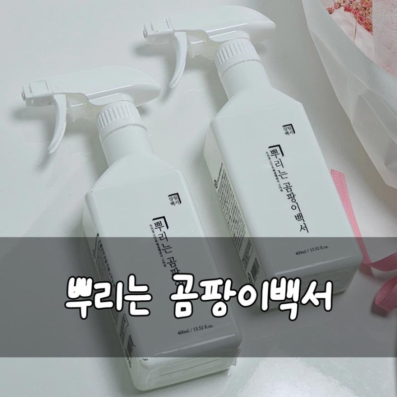 벽 곰팡이제거제 뿌리는 곰팡이백서 살림백서 벽지에곰팡이제거제 사용 후기 리뷰