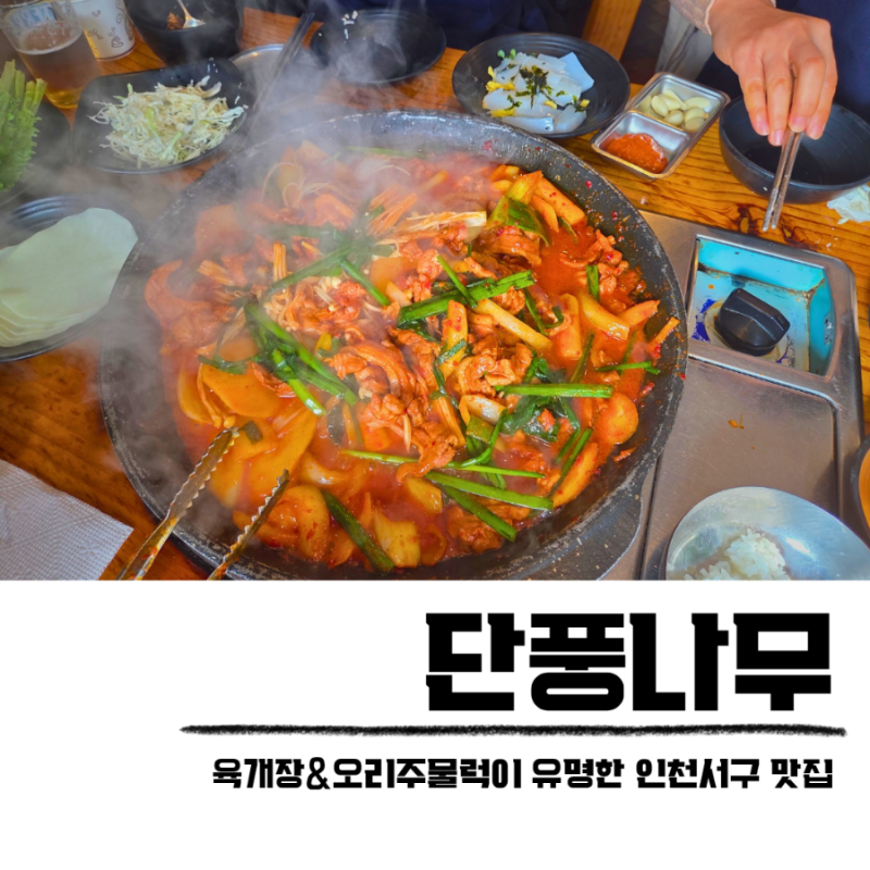 인천 검단 맛집 단풍나무 육개장 더덕오리주물럭 내돈내산