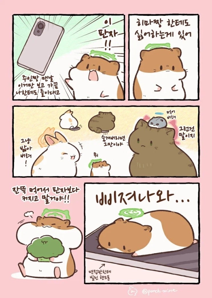  햄스터 이거 싫어!!.manhwa