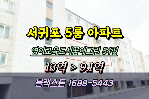  제주영어교육도시 꿈에그린아파트 경매 54평 2024타경13670