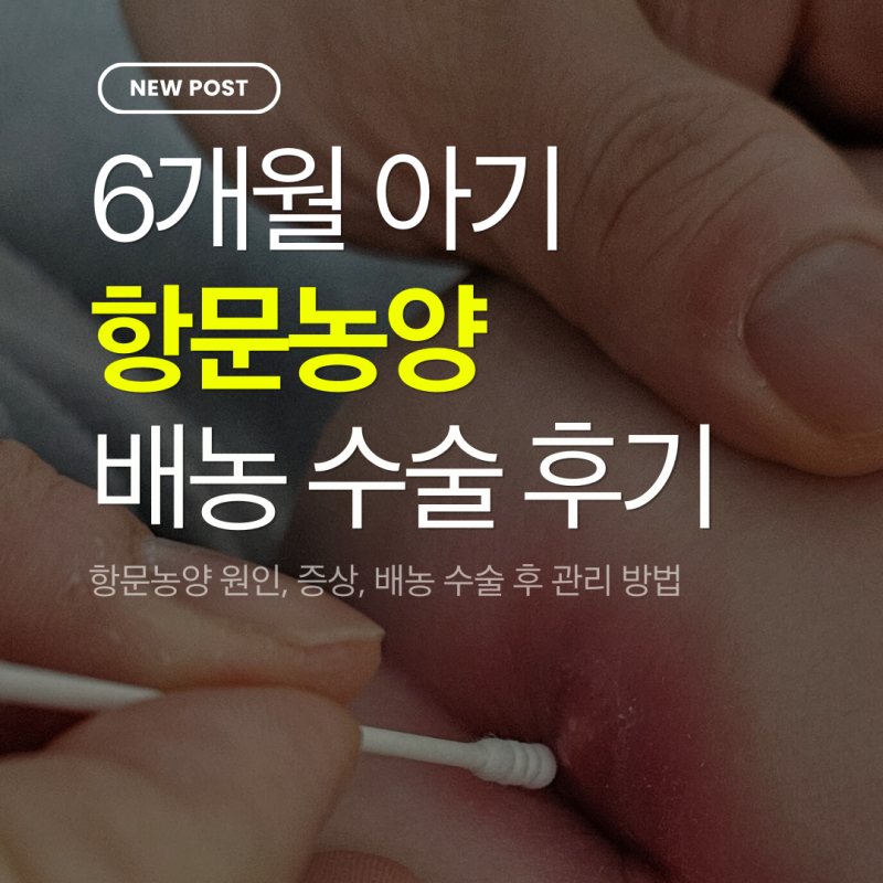 신생아 6개월 아기 항문농양 원인, 증상, 배농 수술 후 관리 후기