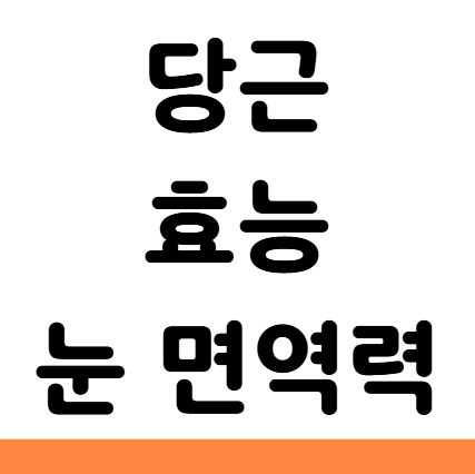  당근 베타카로틴 비타민A 효능 눈 면역력 보관 부작용