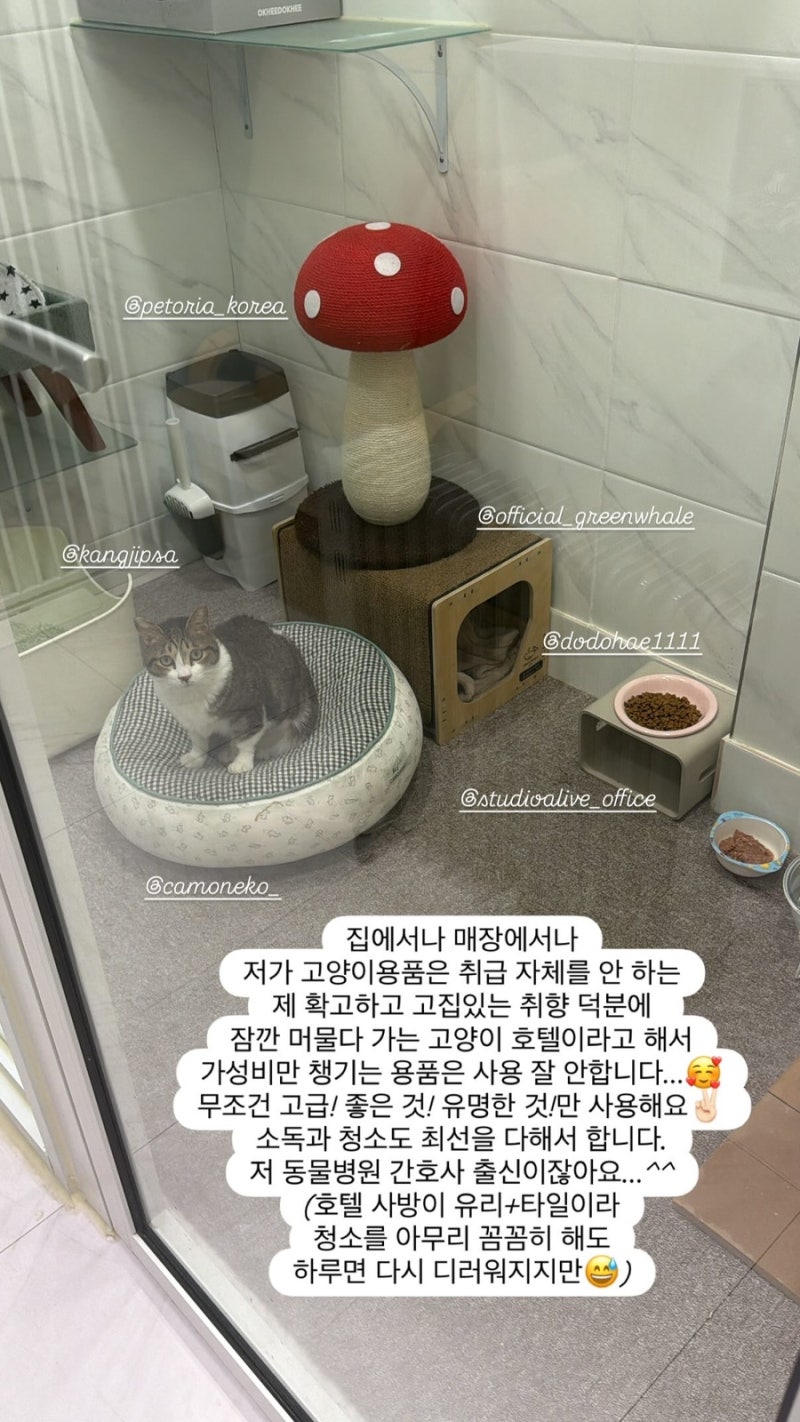 사진 2