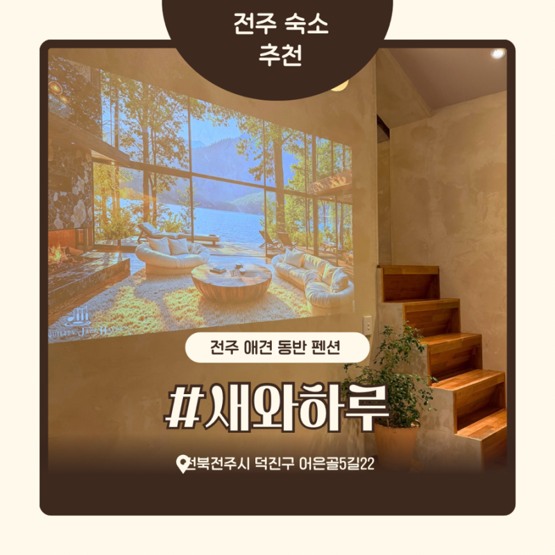 새와하루