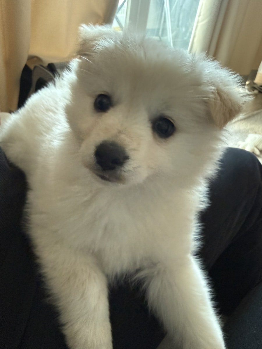 강동농원 사진 2