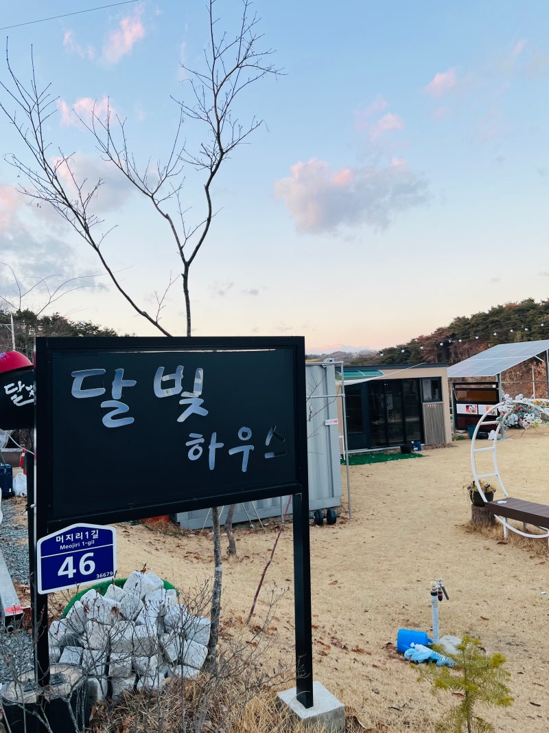 사진 2