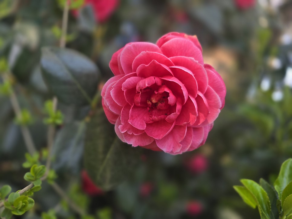 갯당산 사진 3