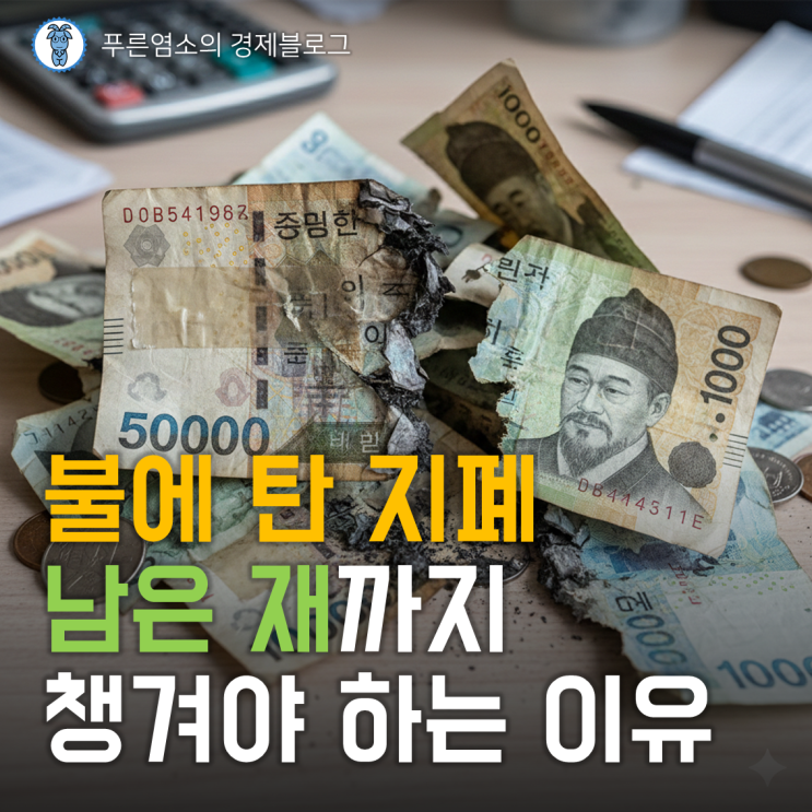  찢어지고 불에 탄 지폐 전액 보상 가능할까? (손상 화폐 보상 기준)
