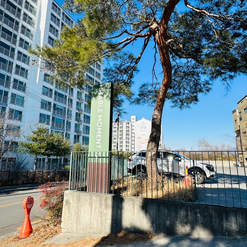 사진 2