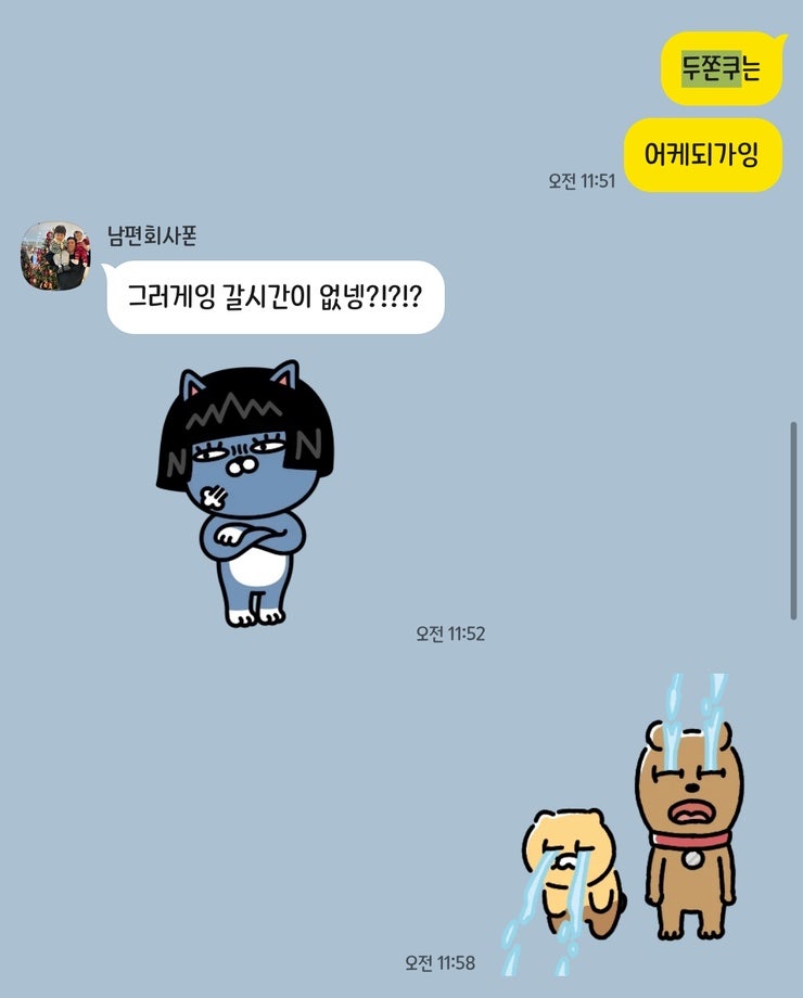 브로시스 사진 3
